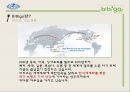비비고 [기업 개요, 시장조사, 진출국가, 유럽시장 진출 전략, 경쟁 업체 비교, 향후전략] 10페이지