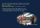 서양제국주의와 이슬람세계 16페이지