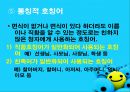 호칭어 를 통해 본 한국의 언어문화 12페이지