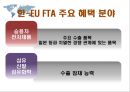 자유무역협정 - 한-EU FTA, 한-미 FTA 8페이지
