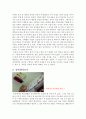 [기행문] 중국 유학 생활을 마치며 4페이지