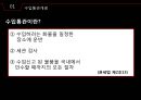 수입통관 4페이지