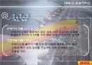 글로벌 유통 전략 사례 [금호타이어, DHL] 33페이지