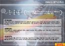 글로벌 유통 전략 사례 [금호타이어, DHL] 34페이지