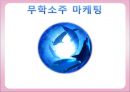 무학소주 마케팅 [소개, 분석, 마케팅 전략, 결론] 1페이지