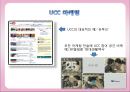 무학소주 마케팅 [소개, 분석, 마케팅 전략, 결론] 20페이지