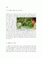 [최신A+자료]택시운전사영화감상문[택시운전사를 통해 바라본 518 광주민주화운동][택시운전사와 힌츠페터 김사복[영화택시운전사줄거리와평가및나의생각][택시운전사분석과감상평] 7페이지