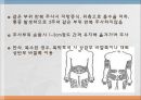 당뇨(DM) PPT 24페이지