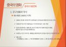 중국의 대중문화 [영화.드라마. 예능 및 대중음악 ] 14페이지