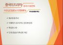 중국의 대중문화 [영화.드라마. 예능 및 대중음악 ] 50페이지