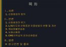 [국제운송론] 선화증권의 위기 2페이지