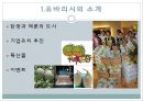일본 지방자치제 유바리시 파산사례 6페이지