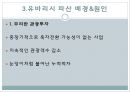 일본 지방자치제 유바리시 파산사례 8페이지
