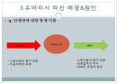 일본 지방자치제 유바리시 파산사례 13페이지