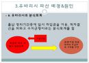 일본 지방자치제 유바리시 파산사례 16페이지