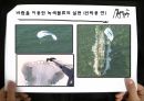 선박의 역사 20페이지