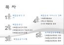 복합운송 [정의, 기능, 요건, 유형, 해륙복합운송, 복합운송시스템, 국제복합운송증권] 2페이지