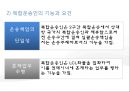 복합운송 [정의, 기능, 요건, 유형, 해륙복합운송, 복합운송시스템, 국제복합운송증권] 5페이지