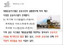 복합운송 [정의, 기능, 요건, 유형, 해륙복합운송, 복합운송시스템, 국제복합운송증권] 7페이지