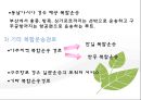 복합운송 [정의, 기능, 요건, 유형, 해륙복합운송, 복합운송시스템, 국제복합운송증권] 12페이지