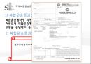 복합운송 [정의, 기능, 요건, 유형, 해륙복합운송, 복합운송시스템, 국제복합운송증권] 13페이지