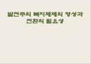 발전주의 복지체제의 형성과 전환의 필요성 1페이지