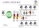 보안관리-침입차단시스템 38페이지