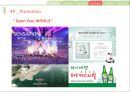 Heineken Marketing Plan 하이네켄 마케팅 전략 10페이지