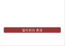 글로벌 경영 필리핀 국가 조사 위기와 기회 분석 33페이지