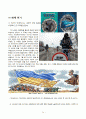 글로벌 기업 아디다스의 위기와 미래전략 [글로벌기업] 30페이지