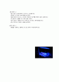NICU, ICU실습: 병리적 및 생리적 황달(Jaundice) 문헌고찰 [A+성적보장!!!!!] 5페이지