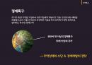 심천 경제특구 PPT 3페이지