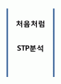 처음처럼 STP분석 1페이지