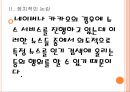 포털규제의 문제점과 해결방안 PPT자료 9페이지