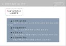 CAMERA(카메라) 글로벌 경영 12페이지