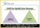 Cass Ice Light의 Re-Launching 전략 18페이지