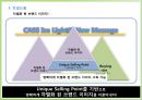 Cass Ice Light의 Re-Launching 전략 20페이지