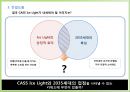 Cass Ice Light의 Re-Launching 전략 24페이지