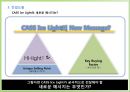 Cass Ice Light의 Re-Launching 전략 27페이지