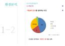 CJ 건강한 탄산음료음료마케팅전략 10페이지