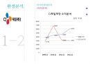 CJ 건강한 탄산음료음료마케팅전략 16페이지