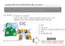 조직구조설계 사례: SK 28페이지