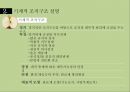 조직의 분류와 그 유형 5페이지