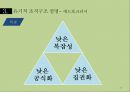 조직의 분류와 그 유형 24페이지