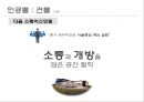조직문화와 조직성과 10페이지