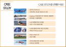 제주항공 기업분석 8페이지