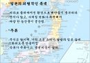 일본 음식문화(지역별 음식,음료,술,디저트) 4페이지
