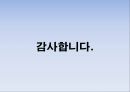 도시계획과 부동산개발 과천시 30페이지