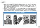 글로벌 캐릭터 산업의 이해 39페이지