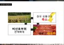 한우 유통시장의 변화와 향후 방향 15페이지